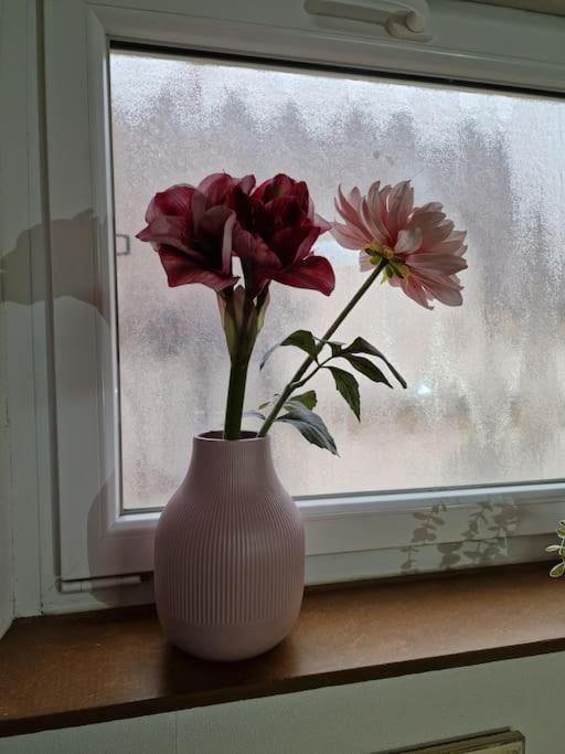 Grosszuegige Ferienwohnung 4+1 P. Büttelborn Eksteriør bilde